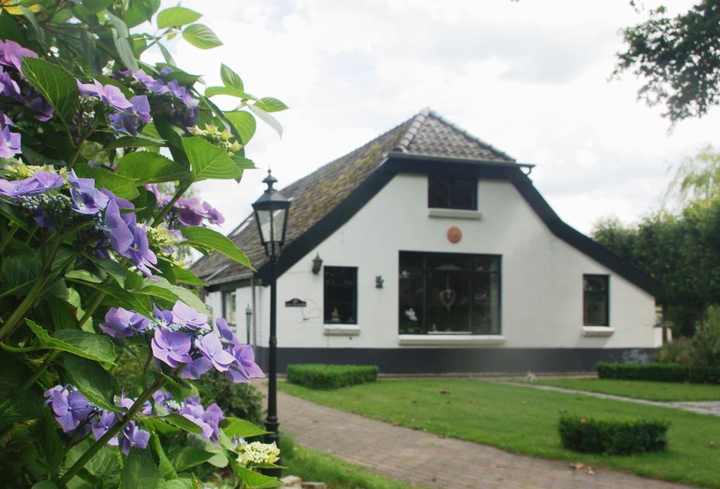 Bed&Breakfast 'T Eikeltje Hollandscheveld Ngoại thất bức ảnh